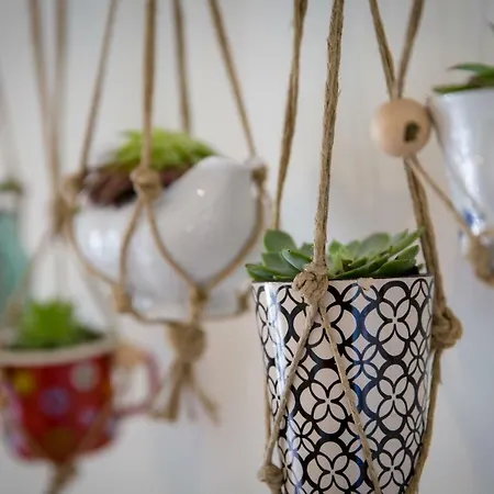 House Jozefina With Pool * Rovinj