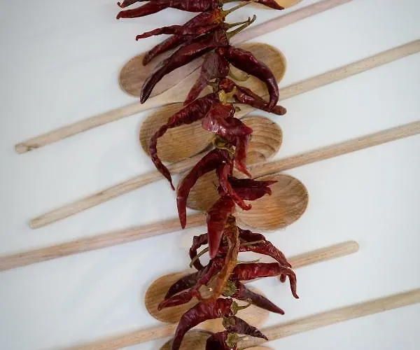 House Jozefina With Pool * Rovinj